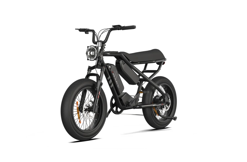 RAEV Bullet X /XF V2 Electric Bicycle