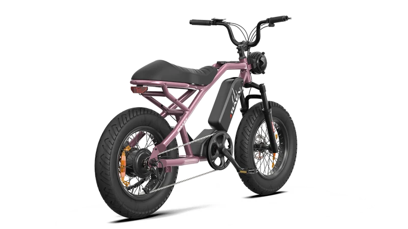 RAEV Bullet V2 Electric Bicycle