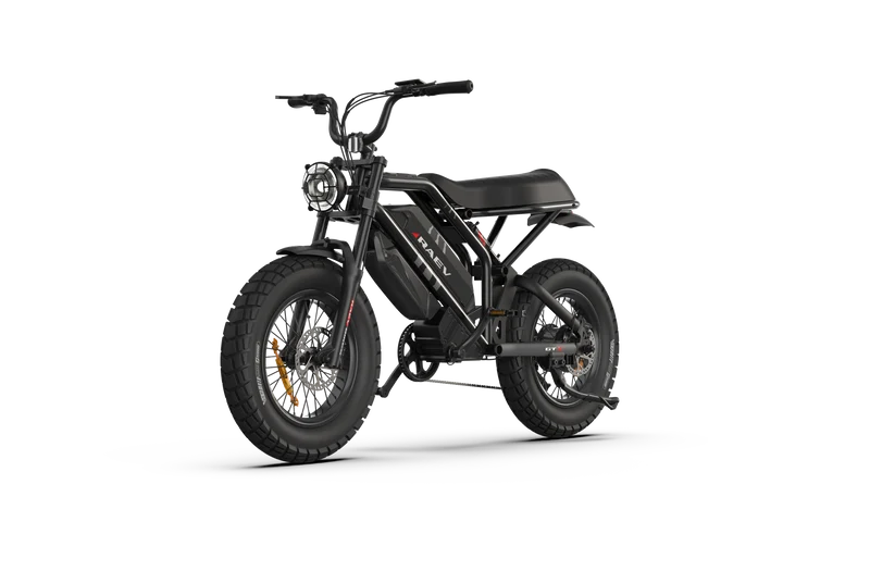 RAEV Bullet GTX Electric Bicycle