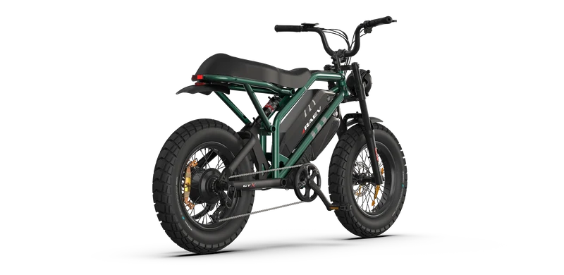 RAEV Bullet GTX Electric Bicycle