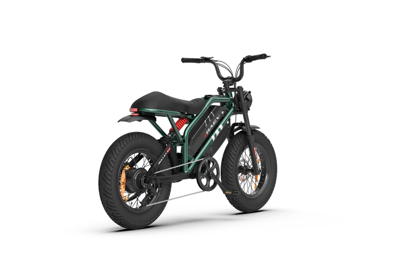 RAEV Bullet GT V2 Electric Bicycle