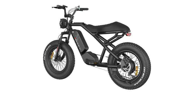 RAEV Bullet V1 Electric Bicycle