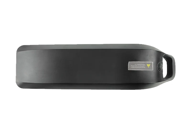 RAEV 48V8Ah Battery