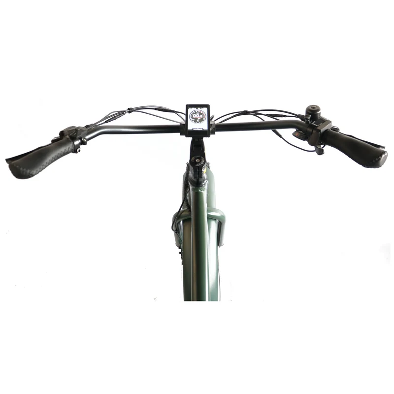 Costal Cruisers Fat Tire Step Over 26x4 - 52v Beach Cruiser Electric Bike