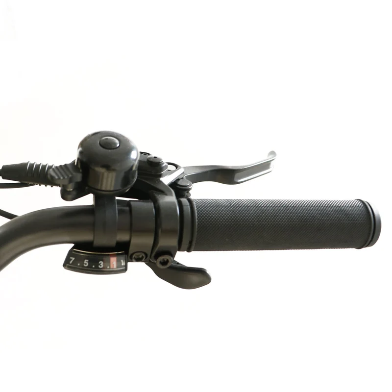 Costal Cruisers 750w Folding Step Thru 20x3 Electric Bike