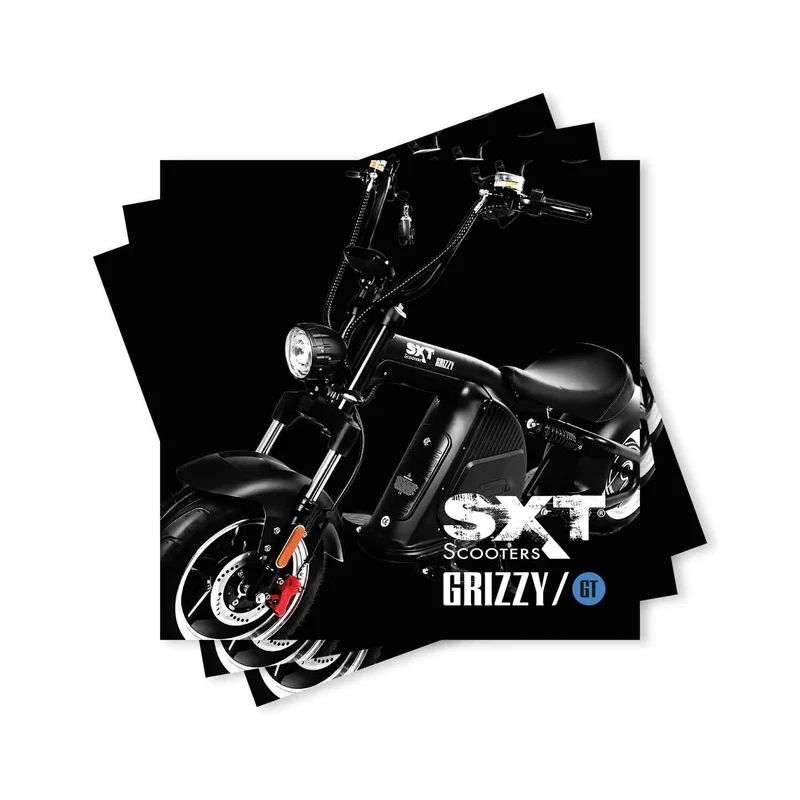 SXT Grizzy / SXT Grizzy GT Werbebroschüre (10er Pack)