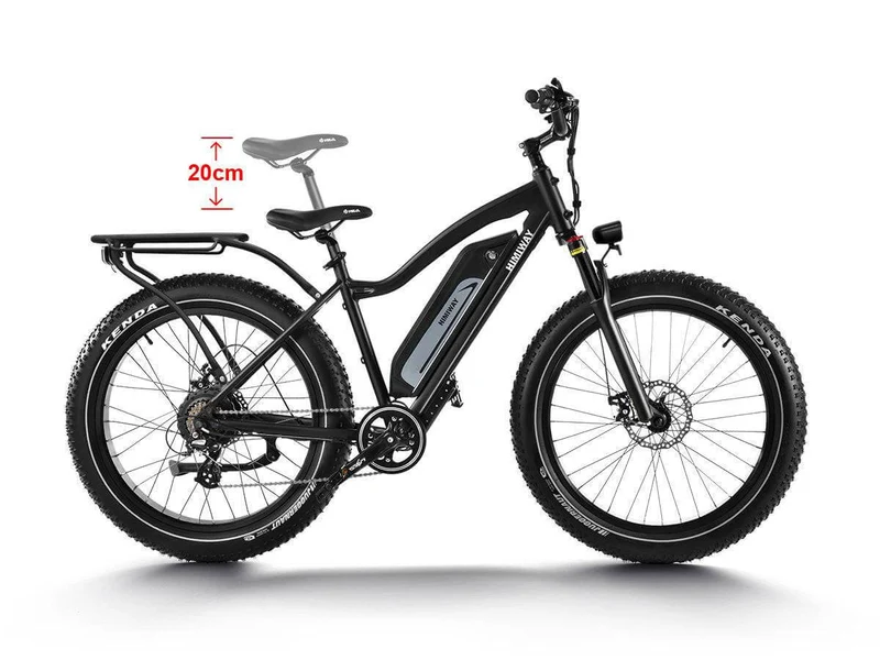 D3 Cruiser E-Bike