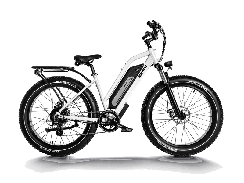 D3 Cruiser E-Bike