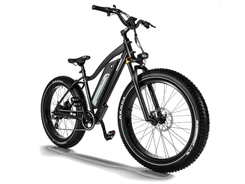 D3 Cruiser E-Bike