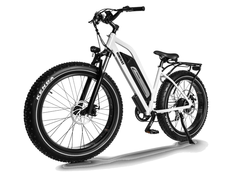 D3 Cruiser E-Bike