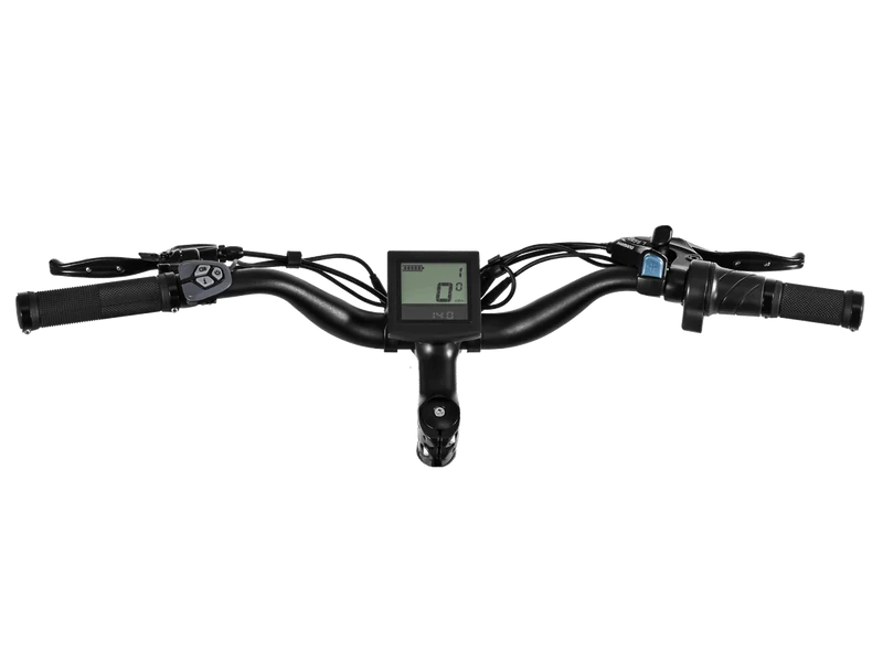 D3 Cruiser E-Bike