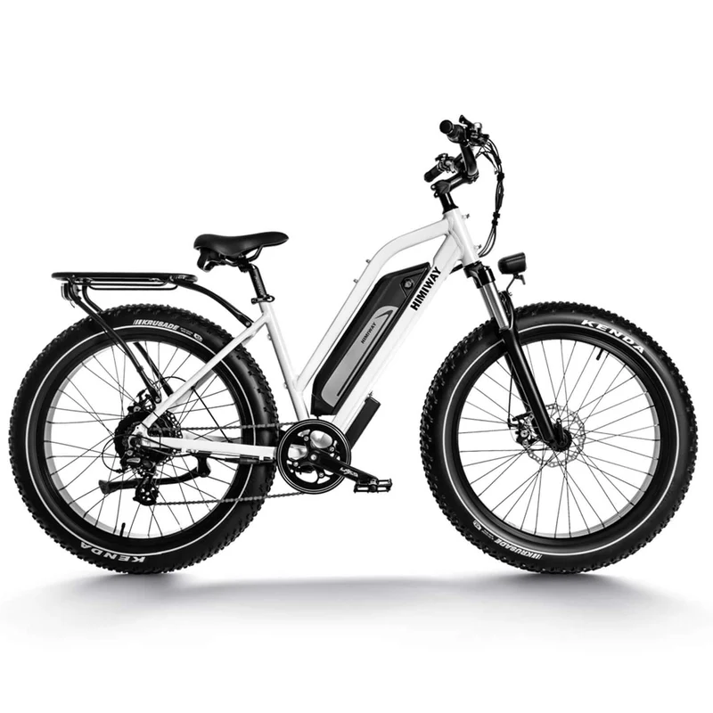 D3 Cruiser E-Bike