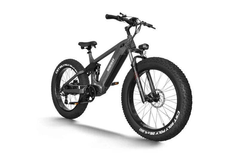 D7 Cobra Fully E-Mountainbike