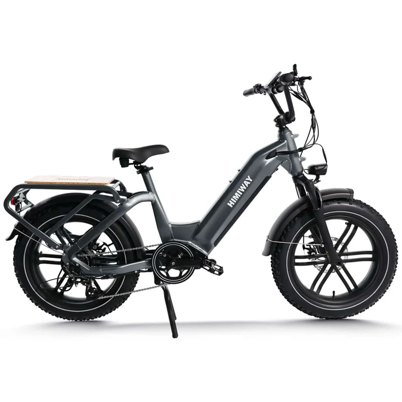 Big Dog E-Bike