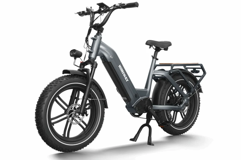 Big Dog E-Bike