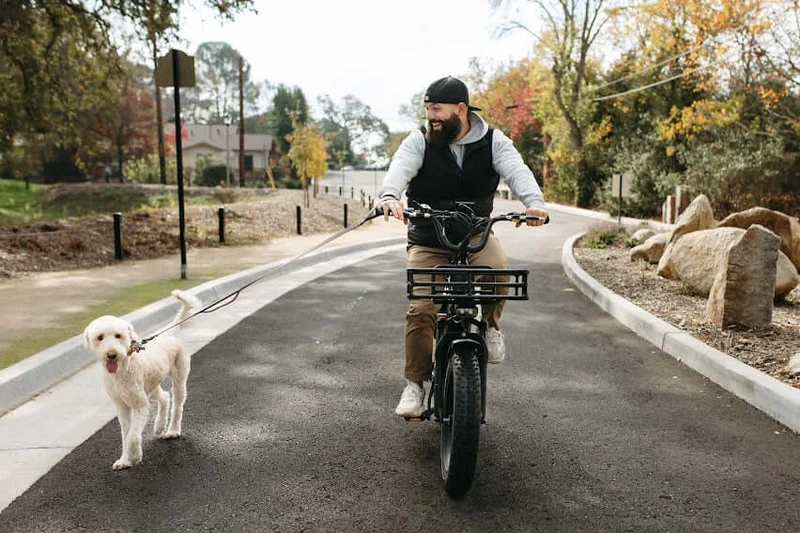 Big Dog E-Bike