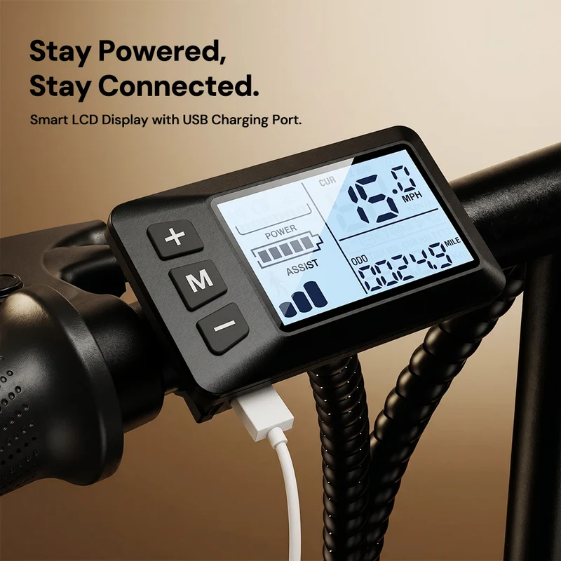 U1/EB1S Foldable Electric Bike 500W