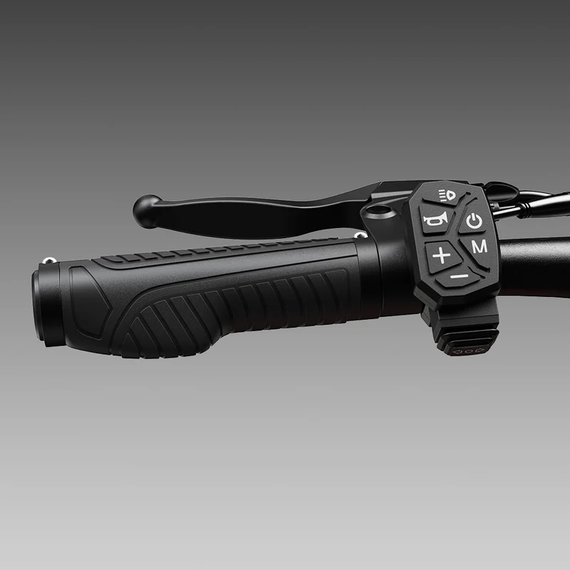 iScooter W12 3000W Off Road Electric Scooter