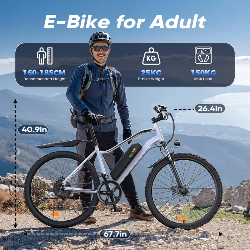 EB3 Electric Mountain Bike