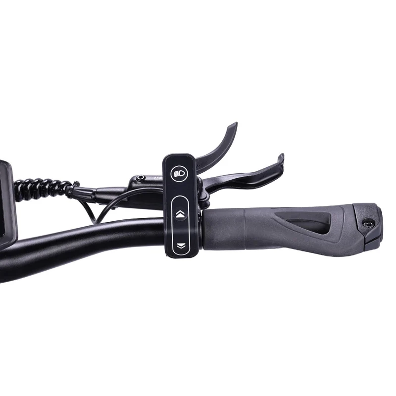 VSETT 10+ Apex Electric Scooter