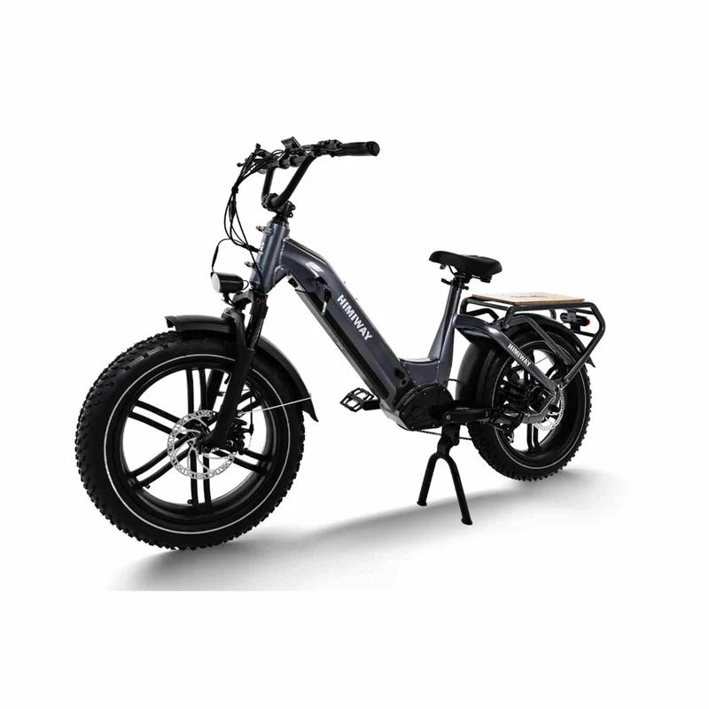 Himiway Big Dog - Elektrisches Lastenfahrrad