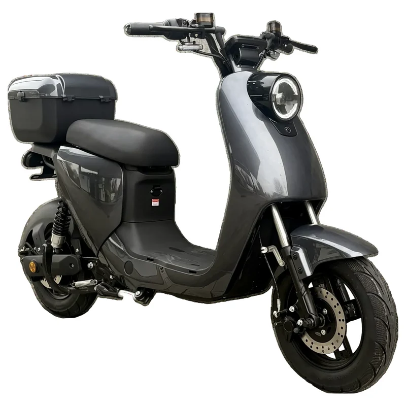 E-Roller Miolino 25 km/h – 500 Watt Elektromotor, bis zu 60 km Reichweite