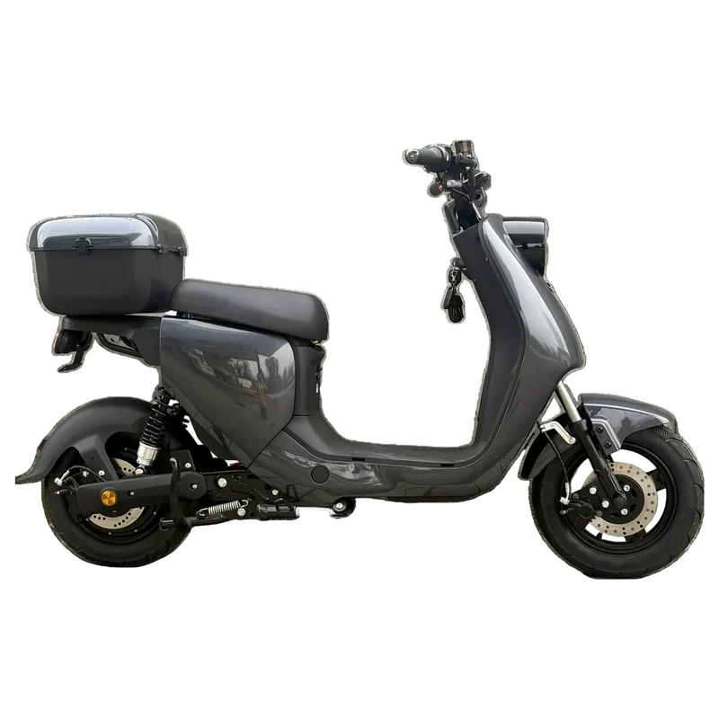 E-Roller Miolino 25 km/h – 500 Watt Elektromotor, bis zu 60 km Reichweite