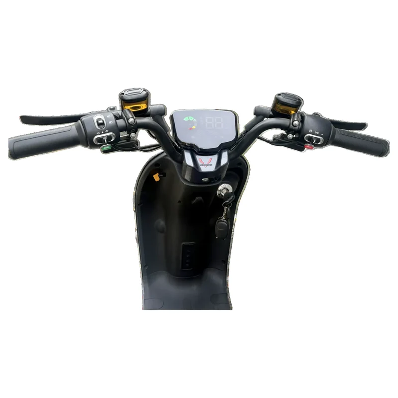 E-Roller Miolino 25 km/h – 500 Watt Elektromotor, bis zu 60 km Reichweite