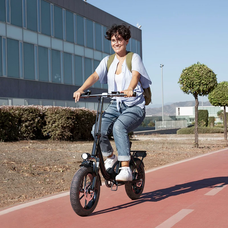 U4 Foldable Electric Bike
