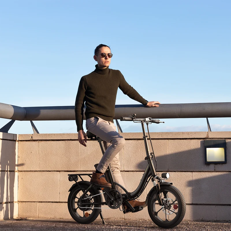 U4 Foldable Electric Bike