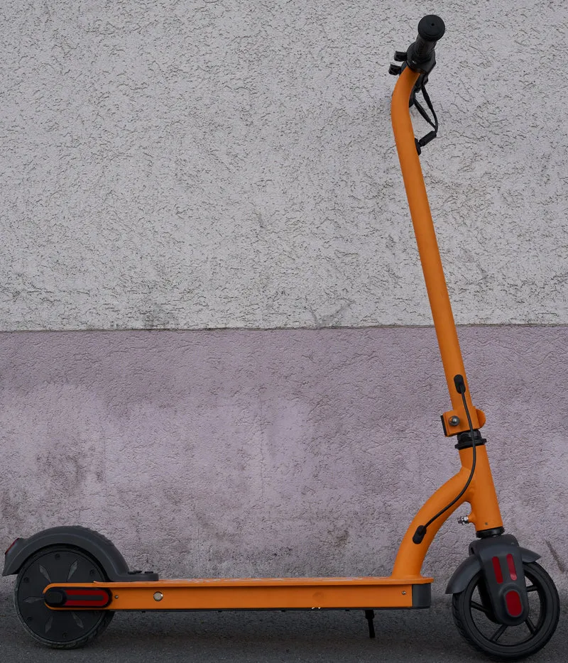 Elektro Scooter für Kinder von Honey Whale