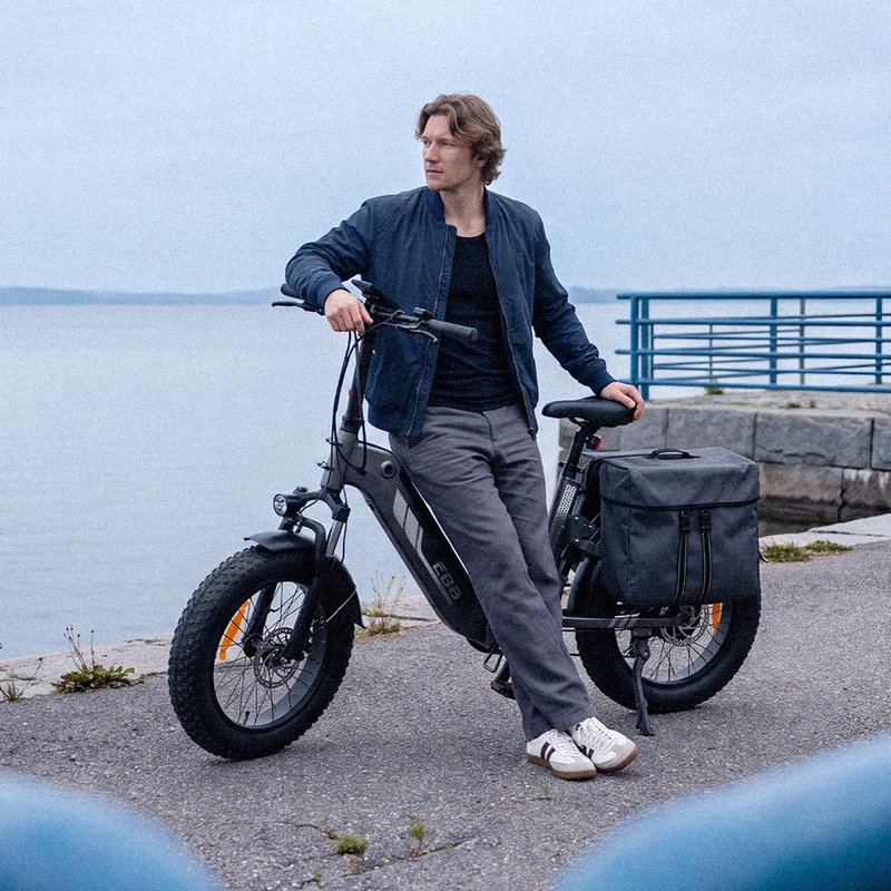 EB8 20" Fat Tire Folding Electric Bike with Torque Sensor