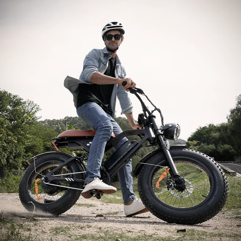 EB5Max 20 Inch Retro All-Terrain Electric Bike