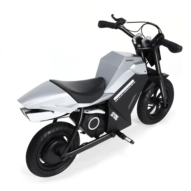 APTUM ADV250 Electric Kids Motorcycle