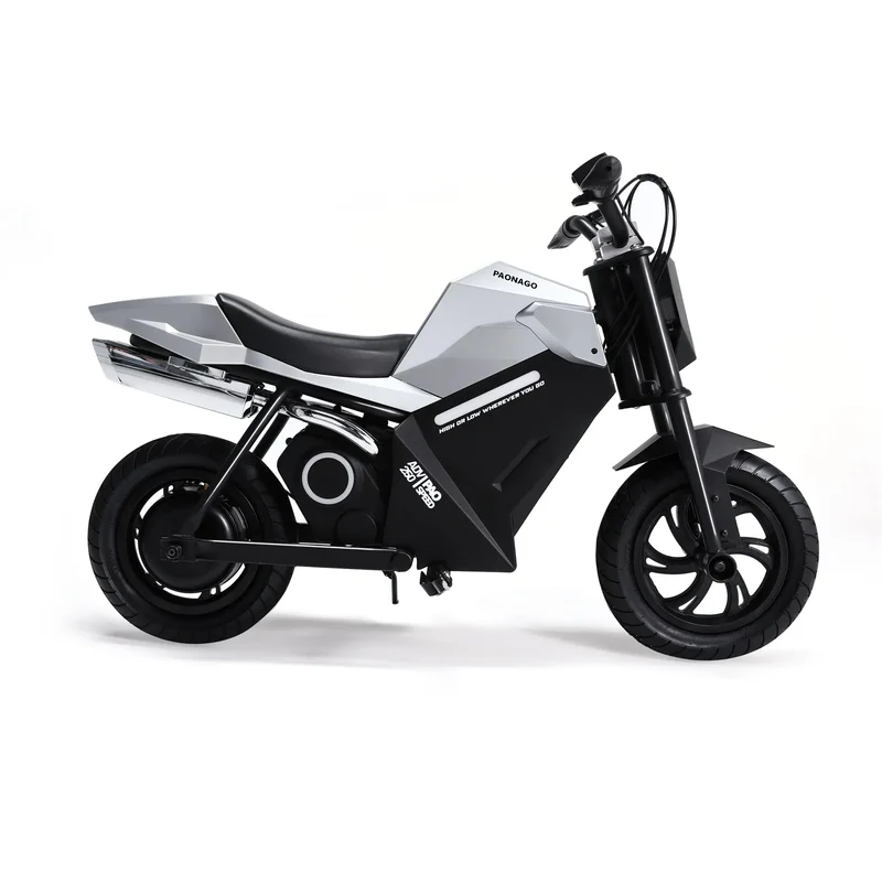 APTUM ADV250 Electric Kids Motorcycle